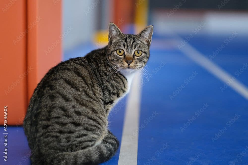 Dragon Li Photo - 4.jpg