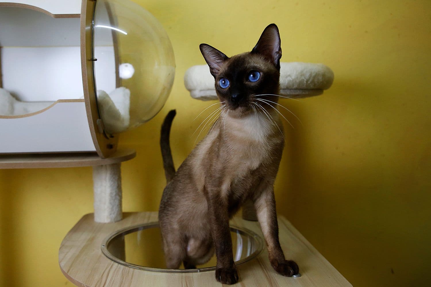 Wila Krungthep Photo - 4.jpg