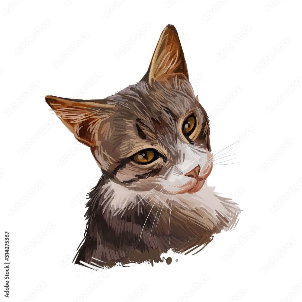 Chinese Li Hua Photo - 5.jpg