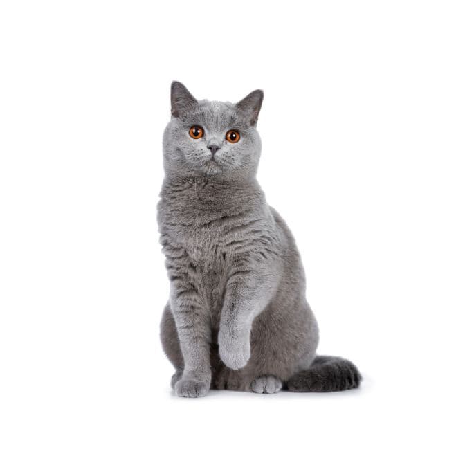 Tiffanie Photo - 2.jpg