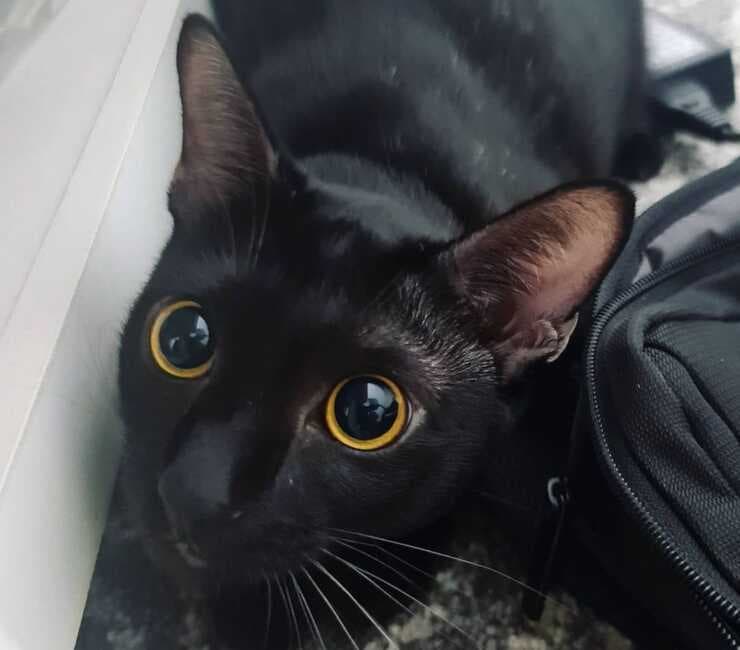 Sam Sawet Photo - 3.jpg