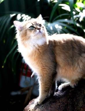 Tiffanie Photo - 3.jpg