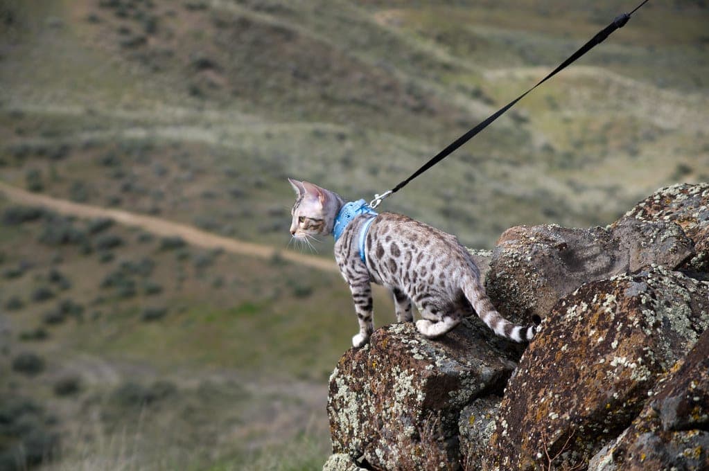 Safari Photo - 5.jpg