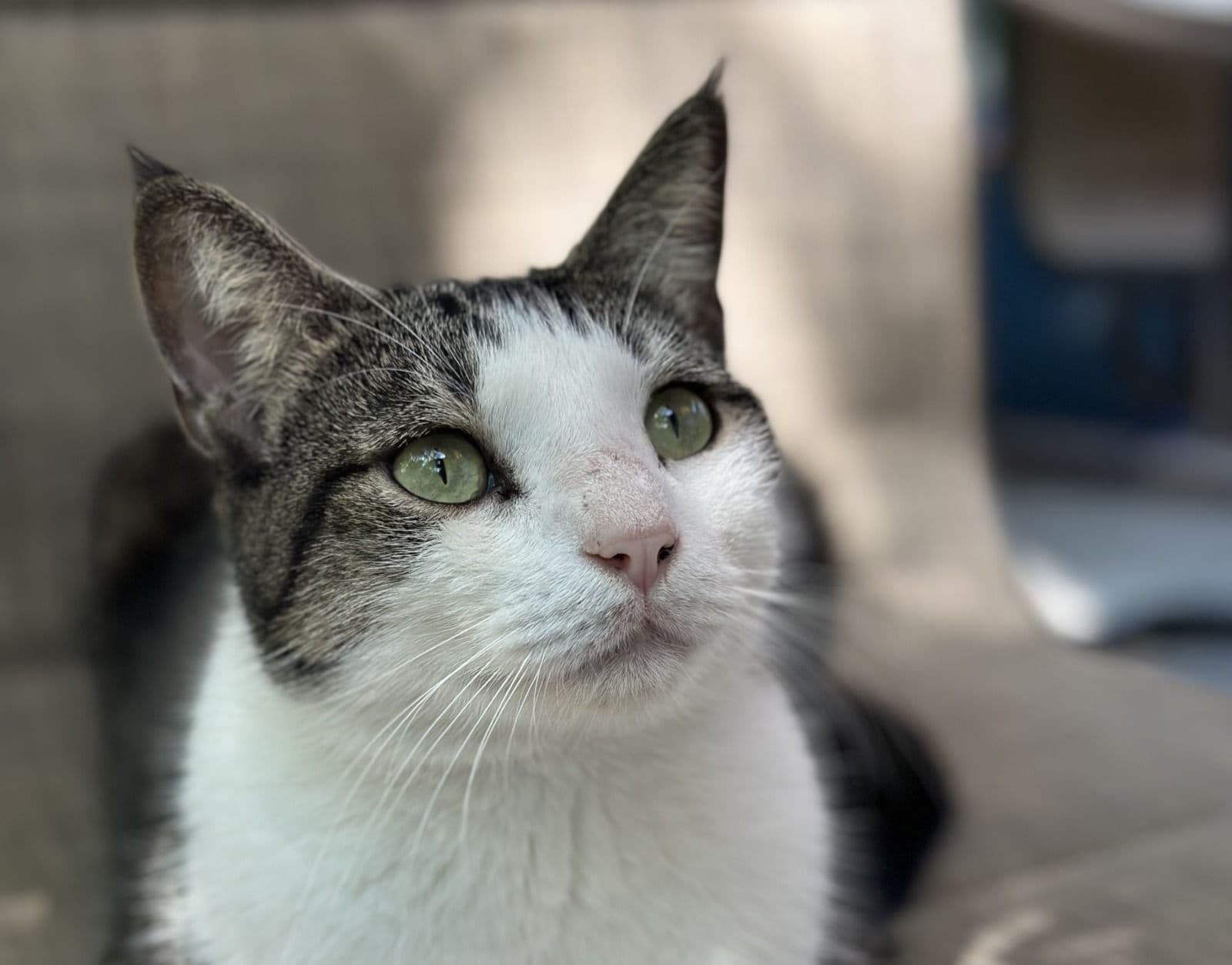 Hemingway Photo - 4.jpg