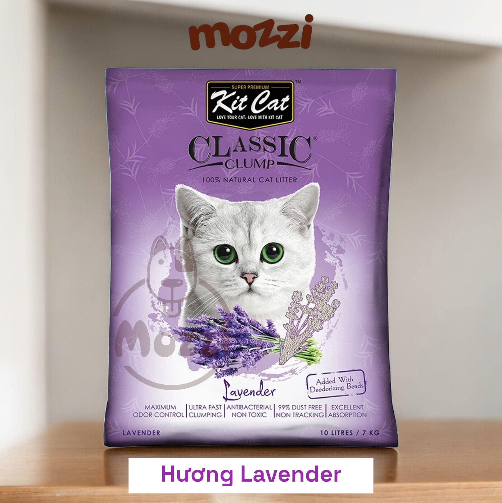 Wila Krungthep Photo - 3.jpg