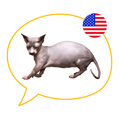 Bambino Photo - 5.jpg