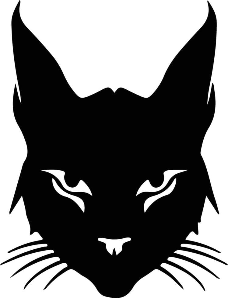 Suphalak Photo - 1.jpg