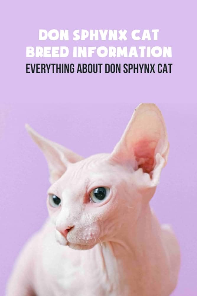 Donskoy Photo - 4.jpg