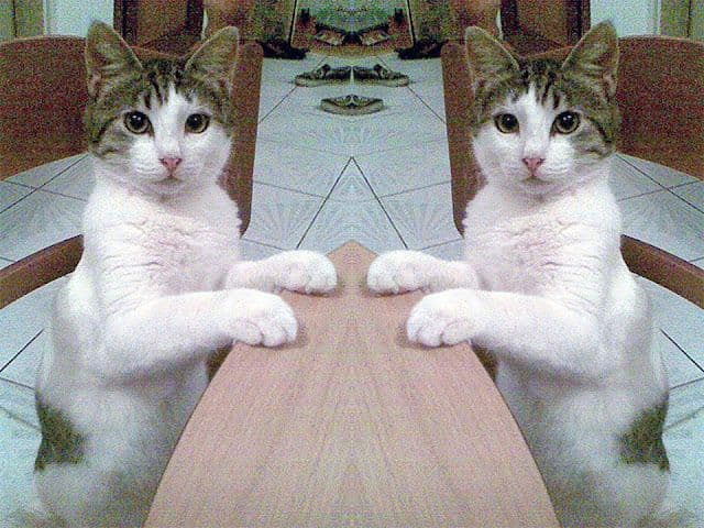 Aegean Photo - 5.jpg