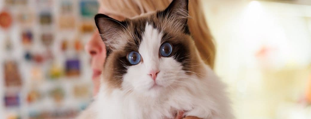 Antipodean Photo - 3.jpg