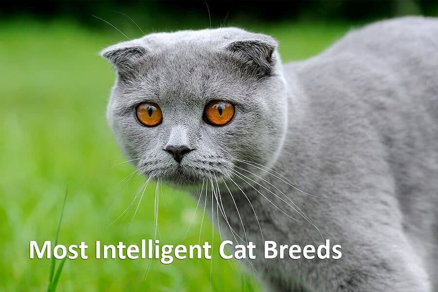 Bramble Photo - 5.jpg