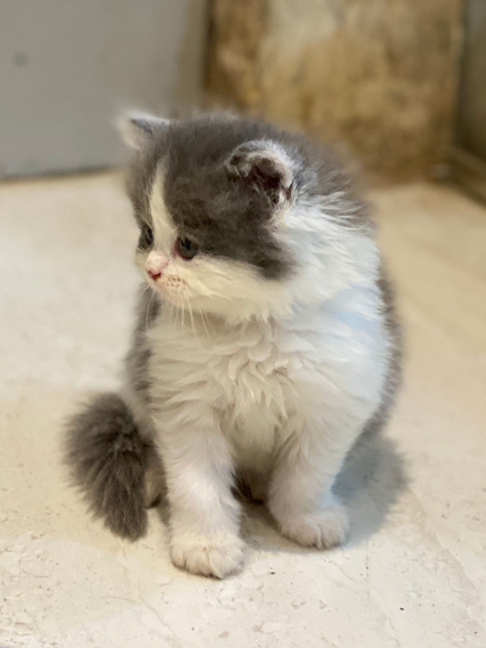 Kashmir Photo - 4.jpg