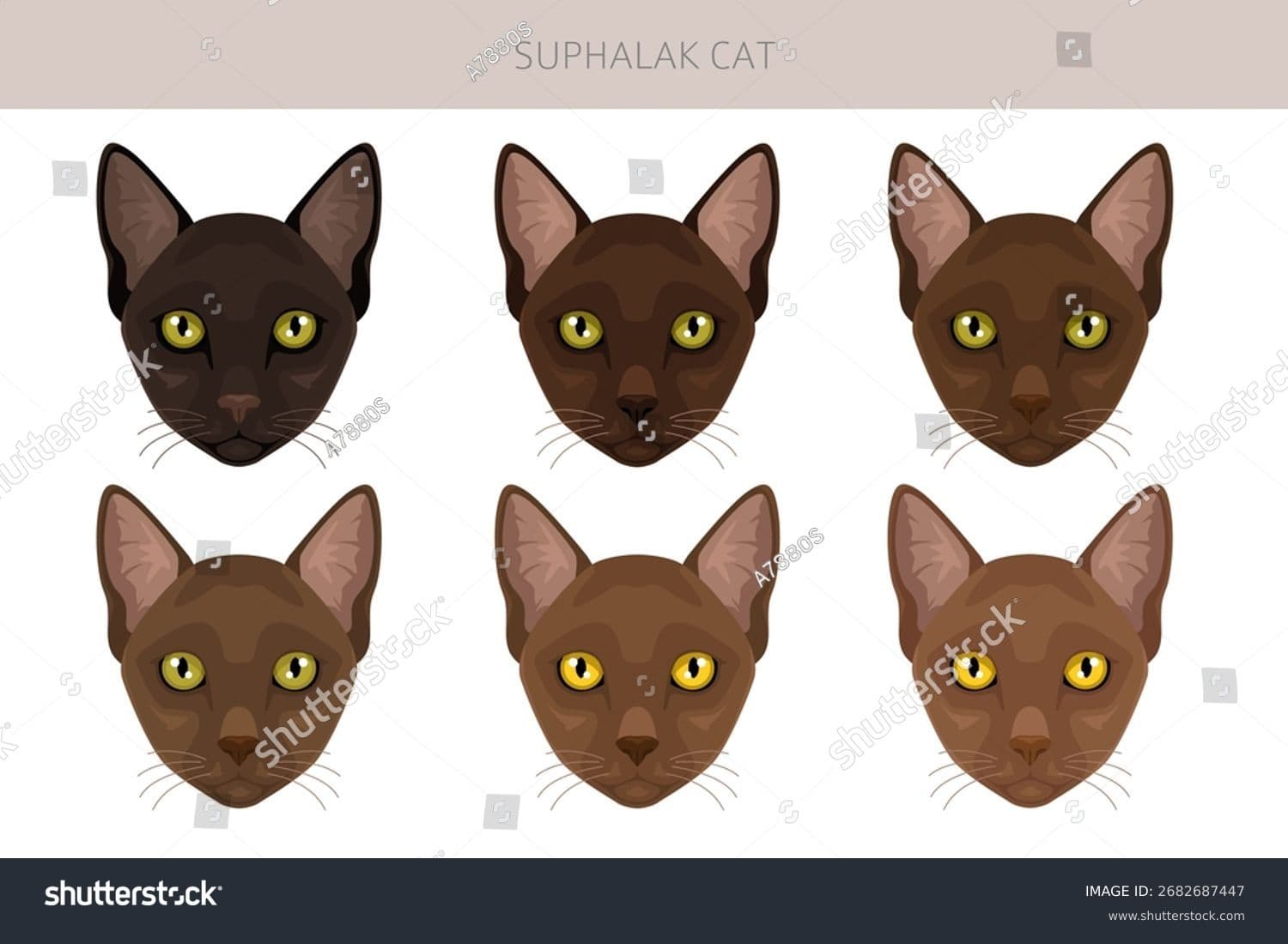 Suphalak Photo - 2.jpg