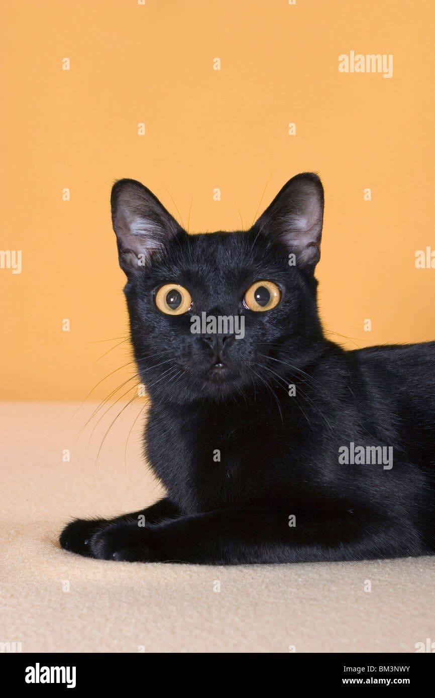 Mandalay Photo - 3.jpg