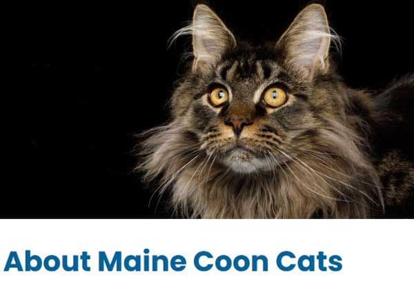 Napoleon Photo - 3.jpg