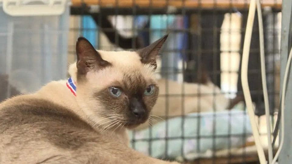 Suphalak Photo - 5.jpg